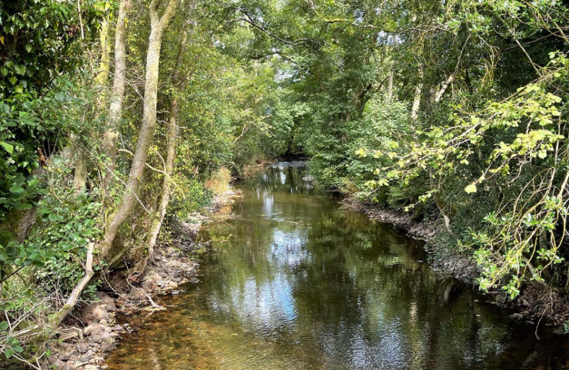 Brecon and Radnorshire is home to some beautiful rivers which are loved by the residents across the constituency and visitors.