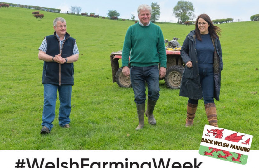 Fay Jones MP Welsh Farming Week